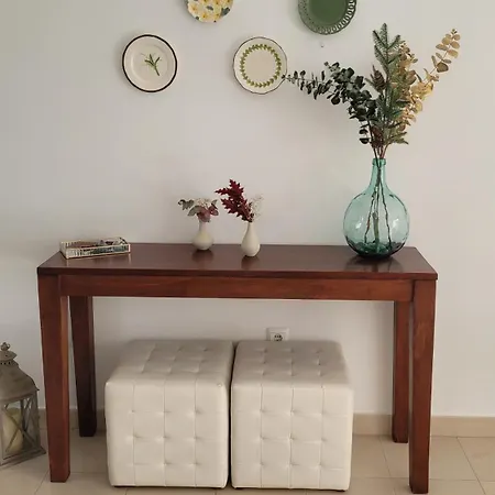 Mi Casita Playera *